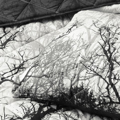 Boscage Coverlet Set Black