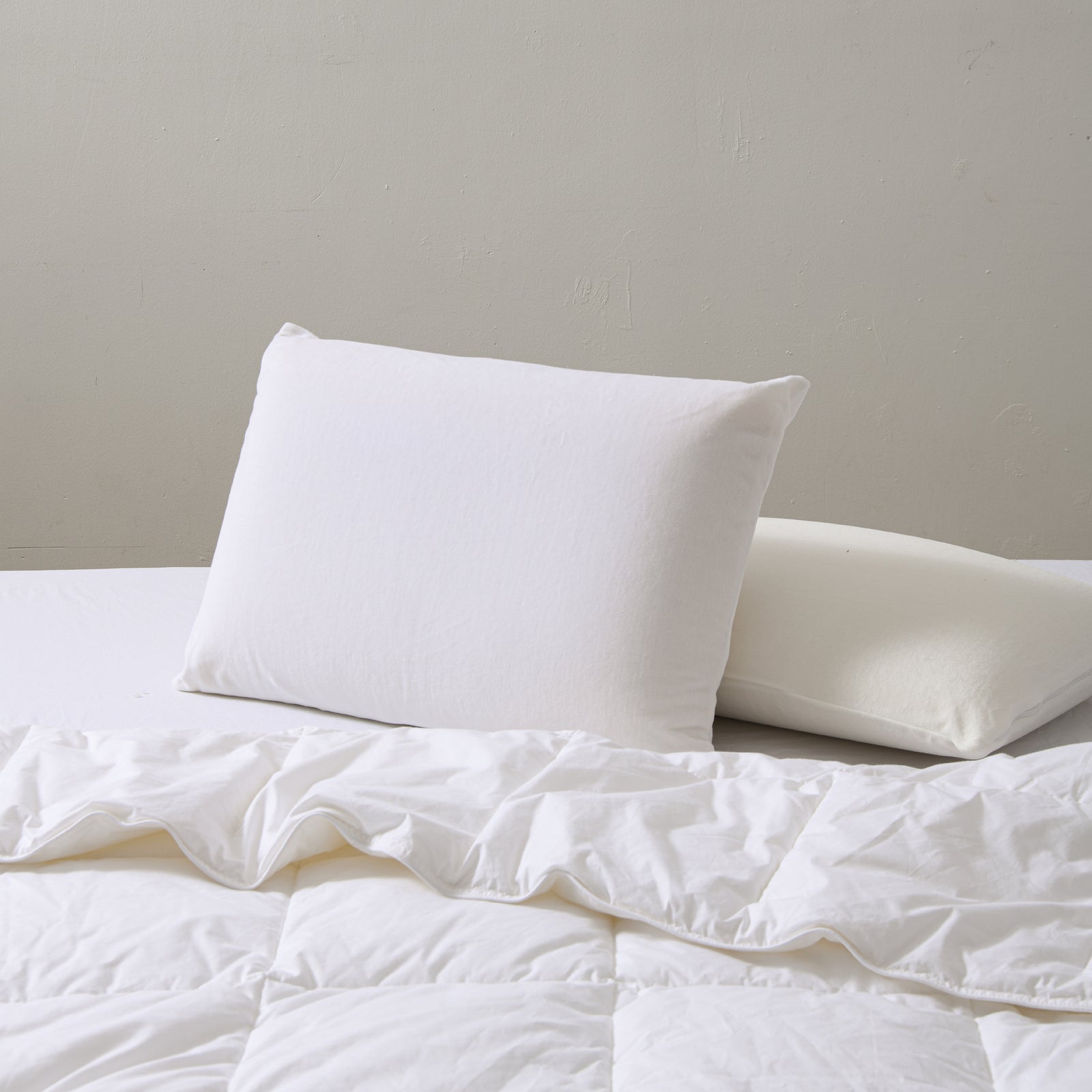 Sleep Easy Medium Profile Medium Feel Talalay Latex Pillow