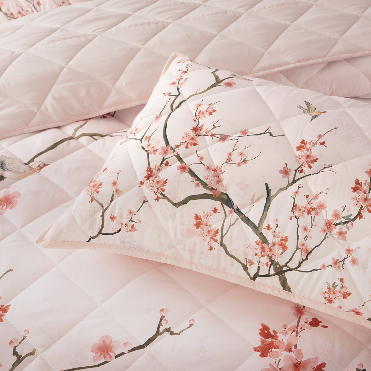 Evelyn Bedspread Set Blush
