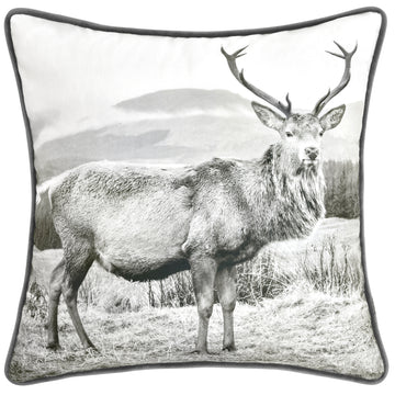 Alpine Stag Velvet Square Cushion Grey