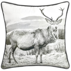 Alpine Stag Velvet Square Cushion Grey